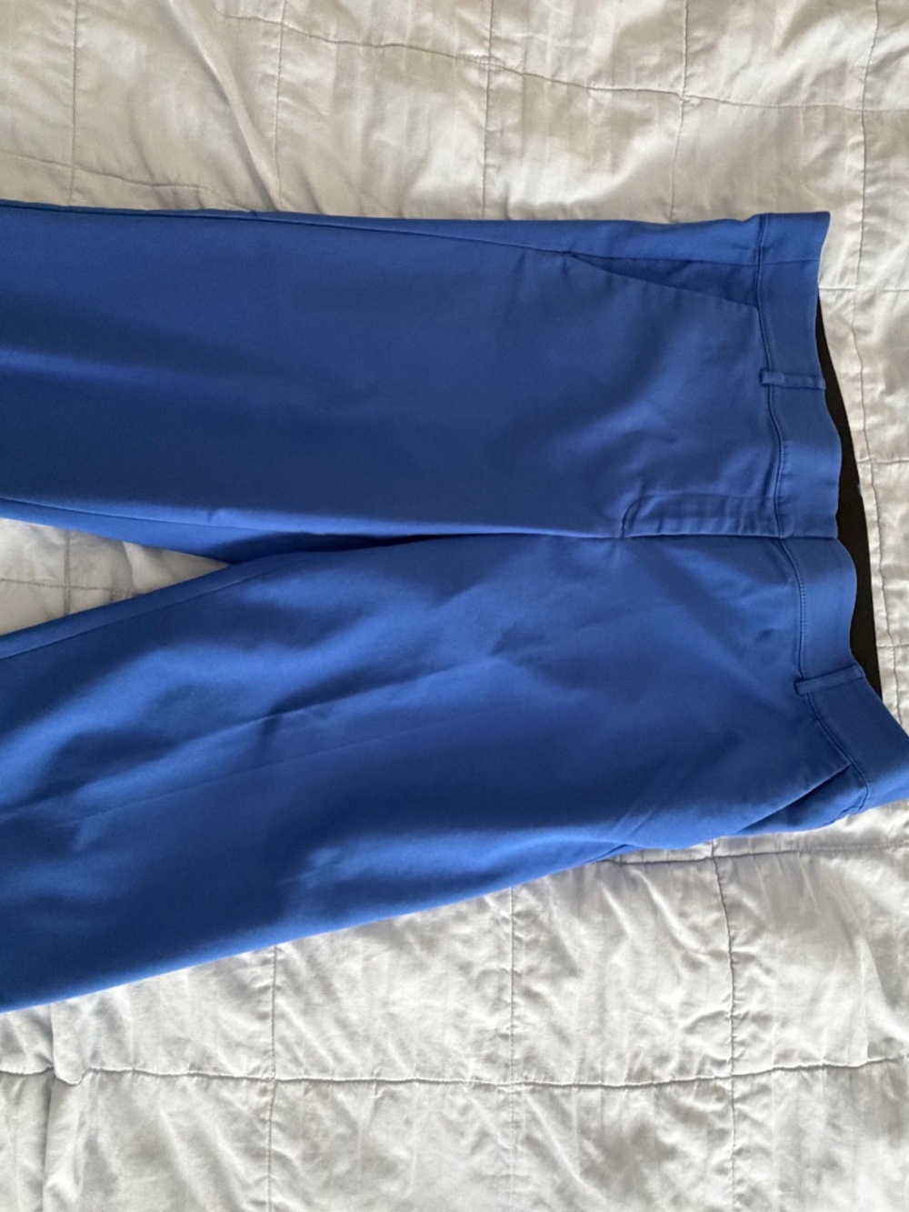 Lane Bryant Royal Blue Ankle Pant
